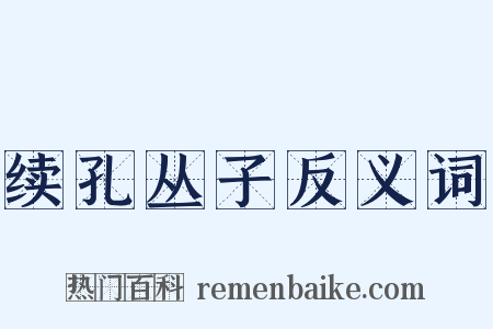 续孔丛子反义词是什么意思的图片